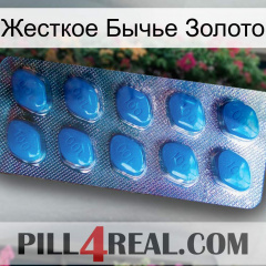 Жесткое Бычье Золото viagra1